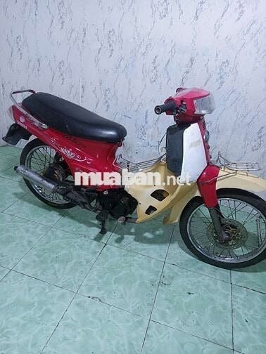 Max 50cc cho học sinh