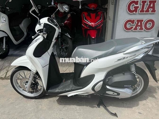 2024 đk 2025 siêu lướt  bao luon hs 53tr