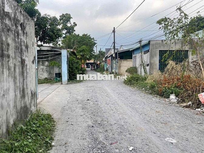 bán đất dân cư hiện hữu Tân Thạnh Đông