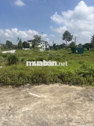 Bán lô đất MBQH1906 p. Hàm Rồng giá nhỉnh 1tỷ