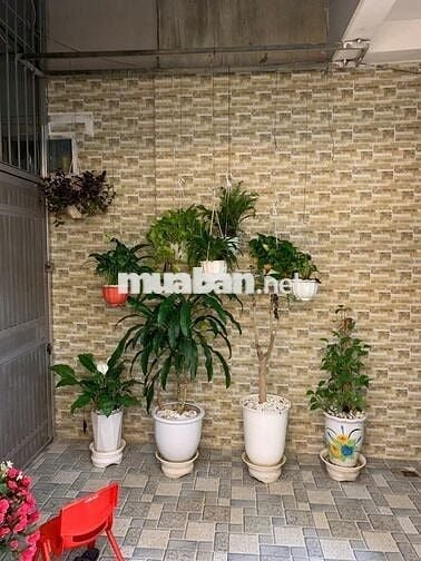 Chính chủ cần cho thuê nhà ngõ 110 đường Nguyễn Hoàng Tôn