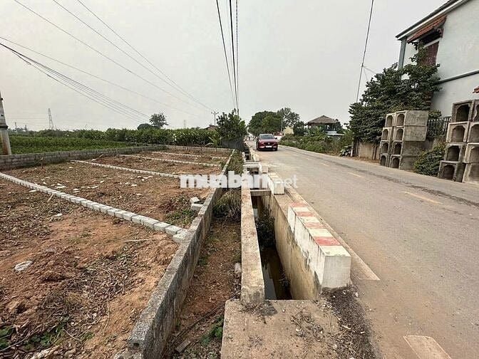đất rẻ nhất thị trường Văn Giang. 2.5tỷ trục chính apphan.