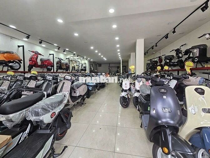 CHo thuê mbkd mặt tiền đường Nguyễn thái sơn 8x25m thông suốt