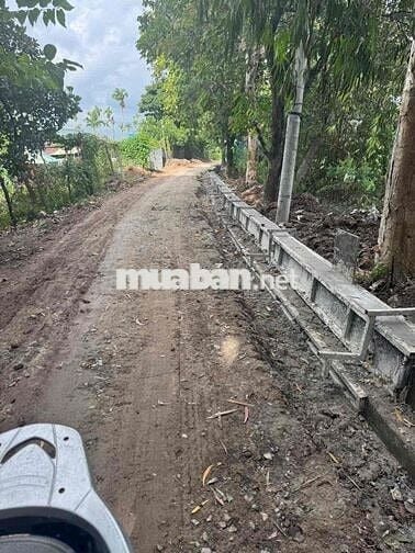 đất mặt Tiền sông . gần trường học . đường thông .