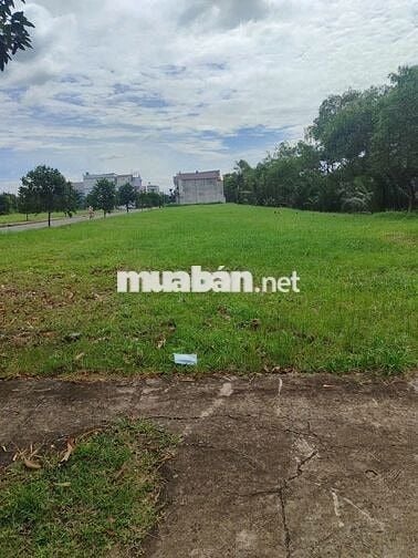 CẦN BÁN GẤP ĐẤT – Đ. Hoàng Phan Thái, xã Bình Chánh, 90m²/900tr