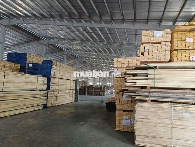 Cho thuê xưởng 47.000m2 trong KCN Tân Uyên Bình Dương