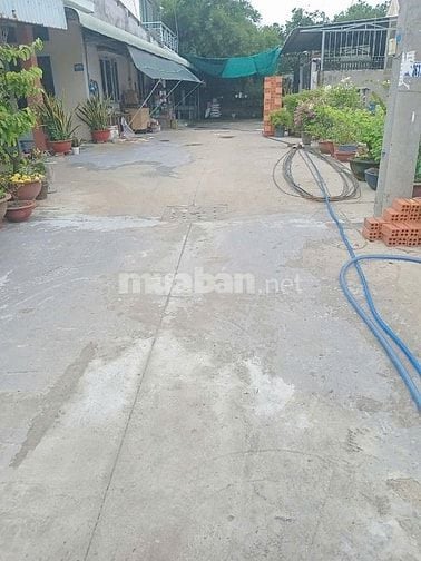 CẦN BÁN 3 LÔ ĐẤT LIỀN KỀ NHAU 1 SẸC ĐƯỜNG TAM ĐÔNG 12 – HÓC MÔN 