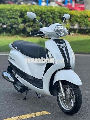 yamaha- Grande