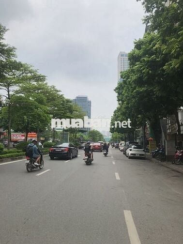 Cần bán tòa kính nhà mặt phố Nguyễn Văn Cừ 195m2 giá 62,79 tỷ