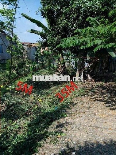 Đất nền thổ cư 175m² mặt tiền kênh 3 phú điền