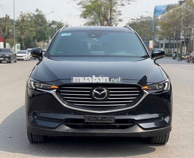 Cx8 premium 2022
