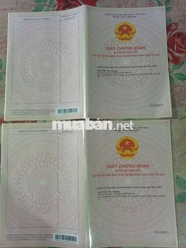 ĐẤT SỔ HỒNG 84,5M2 HẺM LỘ XÃ TÂN LỢI THẠNH  10.133752, 106.451308