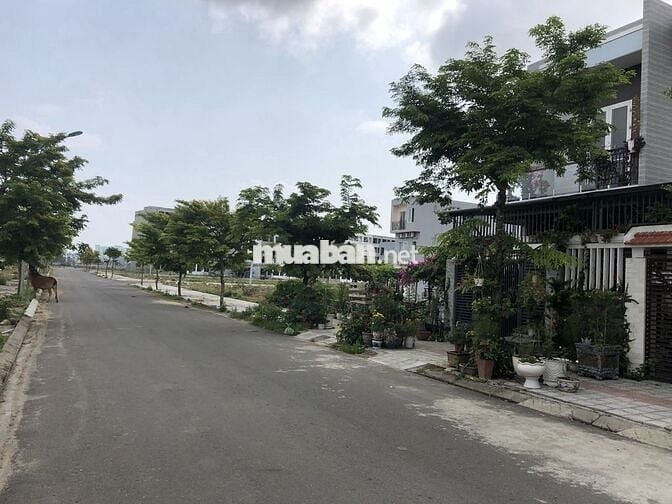 ĐẤT NỀN KĐT SINH THÁI NAM CẦU NGUYỄN TRI PHƯƠNG...