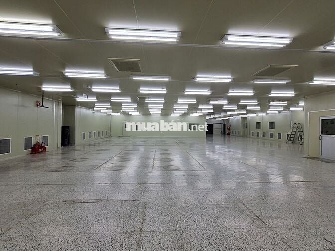 CHO THUÊ NHÀ XƯỞNG 910M2 TRONG KCN LIÊN CHIỂU, SẴN PCCC, GIÁ TỐT 55K