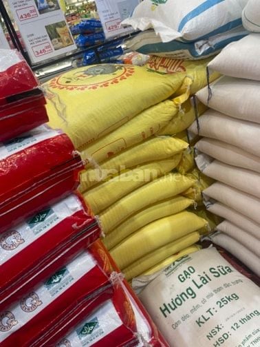 Cơ sở số 226/17A Phan Văn Trị quận gò vấp cần 2 nam nữ đi làm luôn 