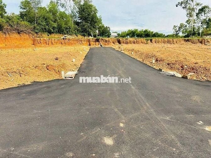 Dãy phân lô kiệt 301 Trưng Nữ Vương - Thuỷ Dương- Giá chỉ từ 9xx triệu