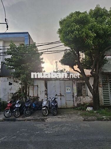 Cần Bán gầp lô dất P. TTN .Q12 .DT 7 x15 .thổ cư 100%  .Ðương xe tải