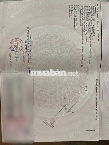 GẤP!!!CHÍNH CHỦ CẦN BÁN ĐẤT NỀN THỔ CƯ 100m2 HUYỆN CHƯ PRONG - GIA LAI