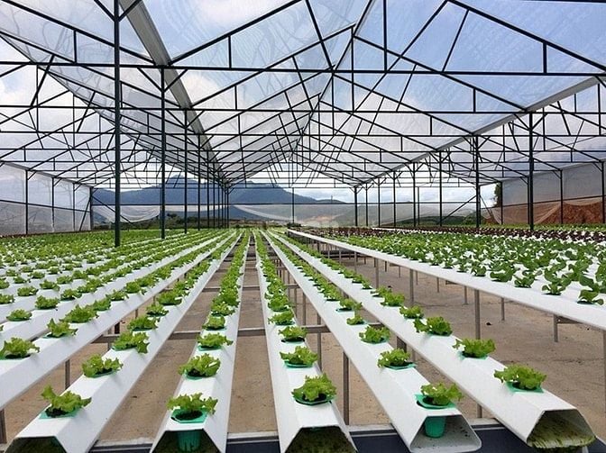 Cần bán gấp 7200m2 có 300 thổ cư. Đã tách 16 sổ.
