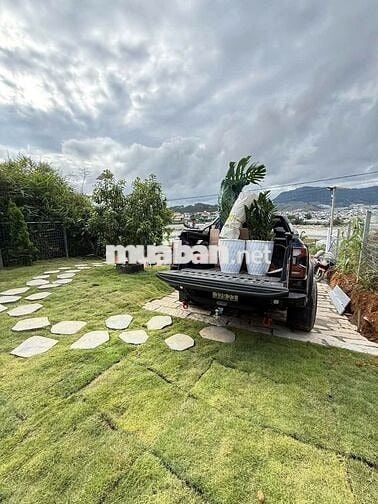 Bán nhà vườn 500m2 phường 7 đà lạt 5,2 tỷ sổ riêng đường ô tô