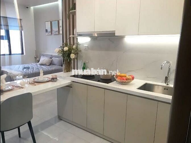 987 triệu, căn hộ 2 phòng ngủ, 46m2, TP mới Bình Dương.