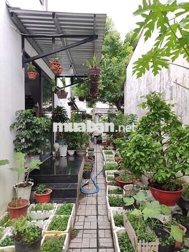 NHÀ 2 TẦNG BTCT 3 PN NGANG 8 DÀI 21 HÓC MÔN CHỈ 5.35 TỶ THƯƠNG LƯỢNG.