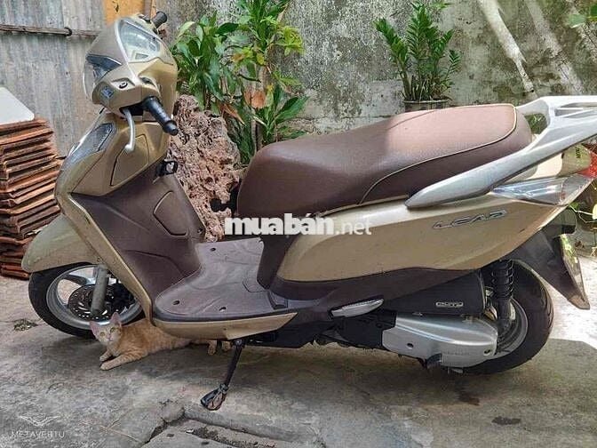 Xe Lead 125 đời 2015 (nguyên zin, bảo trì hãng)