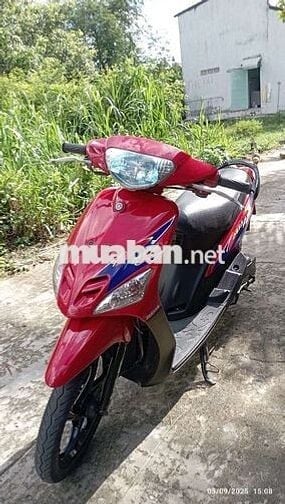 Mio nhỏ bstp