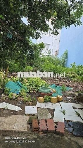 🧣Bán Gấp DT 4,5x20 Sổ Hồng riêng Đường 30m khu 38ha