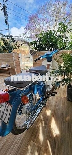 Bán xe cub kiểng