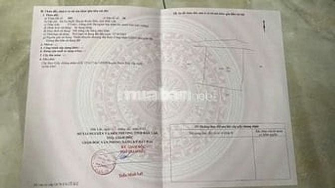 CẦN BÁN ĐẤT NÔNG NGHIỆP ĐẸP
