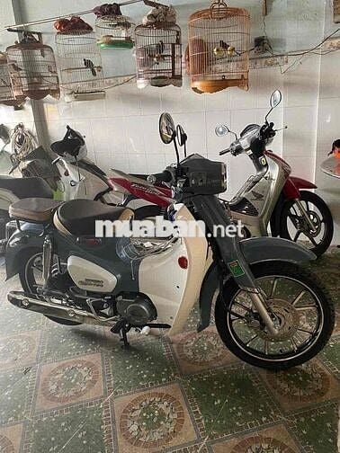 Cup 83 50cc – xe zin- chính chủ-phù hợp học sinh