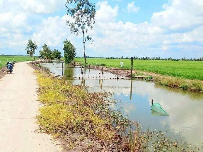 Hàng thơm, 1000m2 đất vườn View Kênh cực đẹp, 720tr
