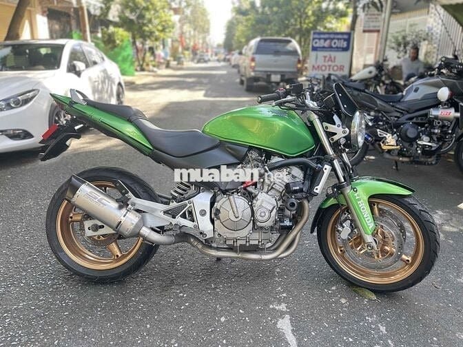 hornet 600