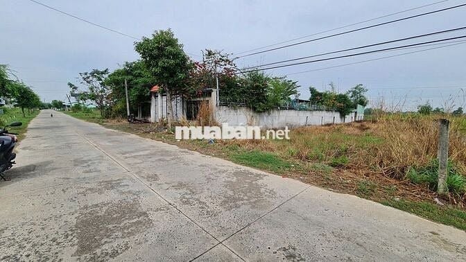 Bán 2 nền MT đường Nguyễn Thị Bài, Cần Giuộc. 500m2/ 1ty125, gần QL50