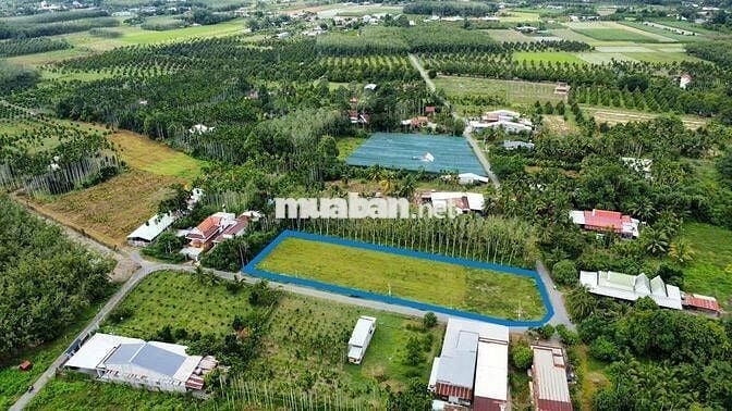 Đất chính chủ 195m2 giá 680tr xã Gia Lộc Trảng Bàng đường nhựa gần TL2