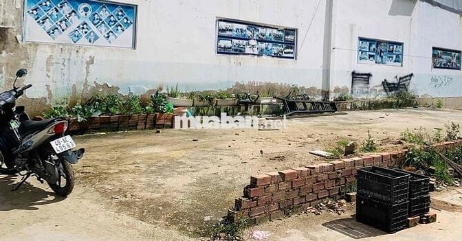 Bán đất SRXD nở hậu đường Phù Đổng Thiên Vương, P8, Tp Đà Lạt
