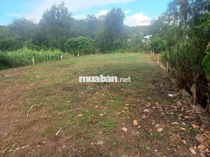 lô đất 5 x 24 =120m2 ( 100 m thổ cư) đường oto
