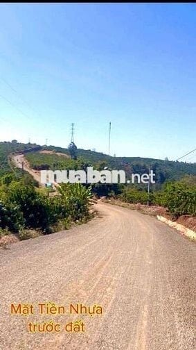 Chủ gửi bán lô đất nghĩ dưỡng tại Di Linh có nhà sẵn giá chỉ 550tr