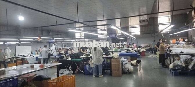 Cho thuê xưởng may đang hoạt động tại Thuận An Bình Dương