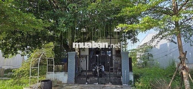 CC bán đất mặt tiền Tỉnh lộ 10A- TP Huế. Tặng kèm nhà cấp 4