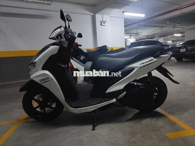 📣📣 Freego 2020, chính chủ tphcm chạy kỹ