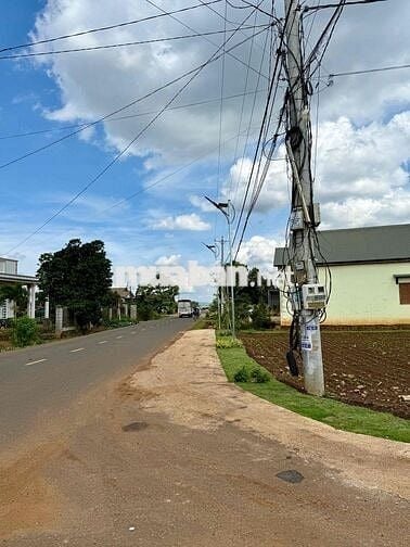 Đất đẹp ngay mặt tiền đường nhựa DH3, Tân Phú - Tân Hội - Lâm Đồng