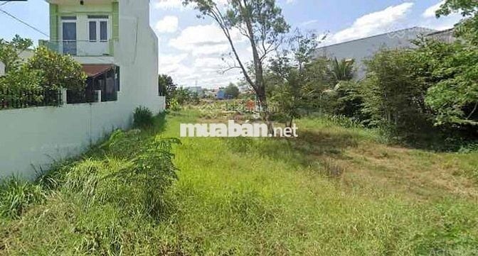 Bán đất 119m2 giá 490tr MT đường Tập đoàn 4, Tân Kim, Long An