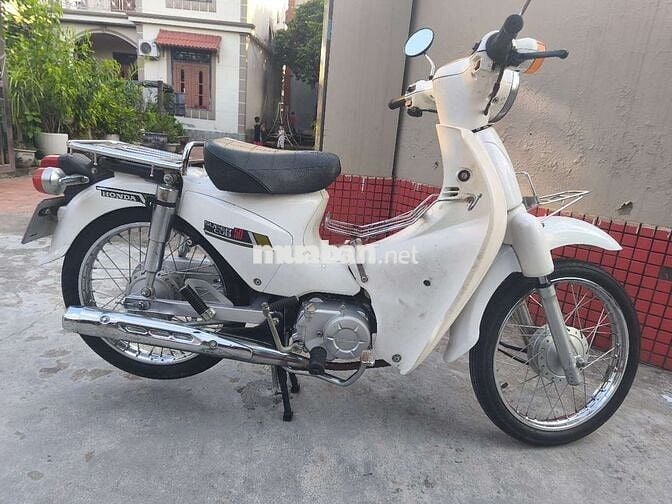 Cúp 50 đi o phải bằng