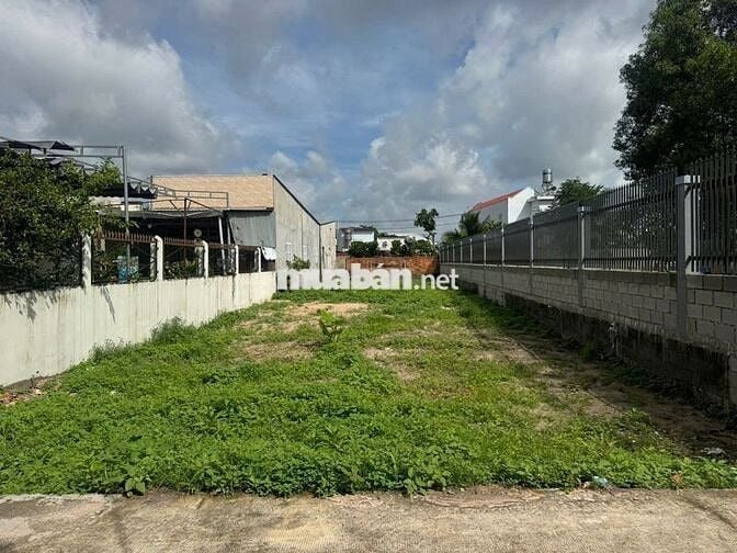 CẦN BÁN GẤP LÔ ĐẤT TÂN THÔNG HỘI CỦ CHI 343M2 GIÁ 580 TRIỆU, SỔ RIÊNG