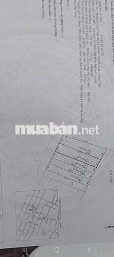 Nhà mặt tiền 232m2, có 2 PN,đường Lý Thái Tổ, Phường Bà Ria, TPHCM
