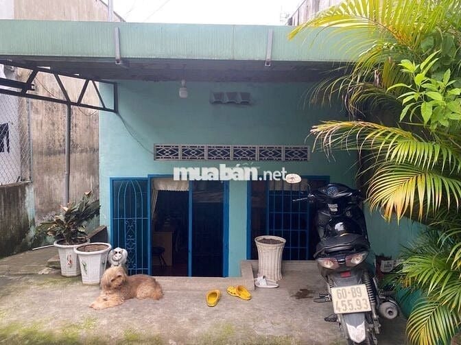 Bán nhà ở 100m2 Long Bình, Biên Hoà, Đồng Nai