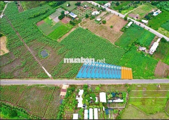 Sang 2 Lô đất 300m2 Đường DT765, Bà Rịa - Vũng Tàu - SHR