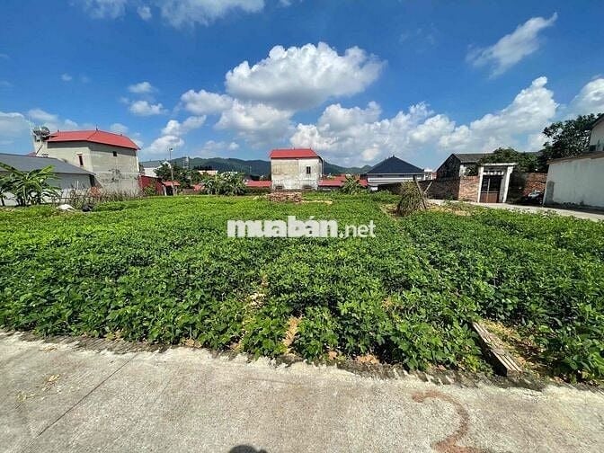 ĐẤT Phù Linh,Sóc Sơn-81M-MT 6.5M- Đường Thông Ô tô tránh-